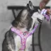 Fresh Pawz Pastel Pink Camo Adjustable Mesh Dog Harness image thumbnail 3