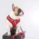 Product Fresh Pawz Monogram Hype Adjustable Mesh Dog Harness