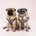 Fresh Pawz G-Pattern Adjustable Mesh Dog Harness image thumbnail 2