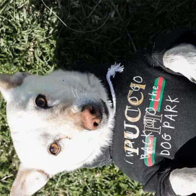 Product Fresh Pawz Pucci "I WANT TO GO BACK TO THE DOG PARK" Dog Hoodie