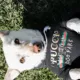Product Fresh Pawz Pucci "I WANT TO GO BACK TO THE DOG PARK" Dog Hoodie