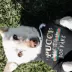 Fresh Pawz Pucci "I WANT TO GO BACK TO THE DOG PARK" Dog Hoodie image thumbnail 2