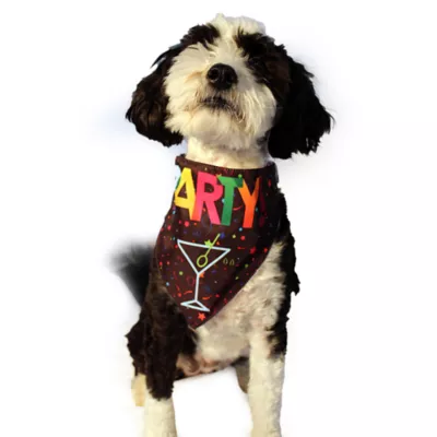 Hip Doggie Party Reversible Pet Bandana - Image 5