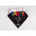 Hip Doggie Party Reversible Pet Bandana image thumbnail 3