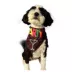 Hip Doggie Party Reversible Pet Bandana image thumbnail 5