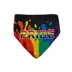 Hip Doggie Pride Reversible Pet Bandana image thumbnail 1