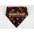 Hip Doggie Pride Reversible Pet Bandana image thumbnail 2