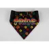 Hip Doggie Pride Reversible Pet Bandana image thumbnail 4