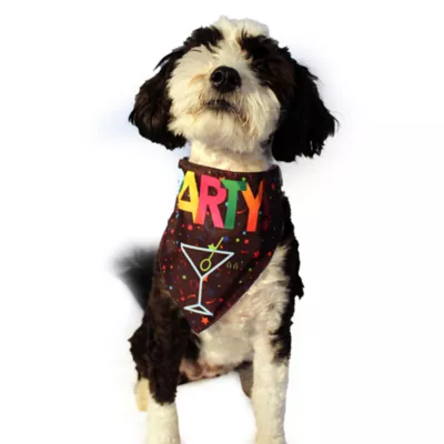 Product Hip Doggie Party Reversible Pet Bandana