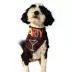 Hip Doggie Party Reversible Pet Bandana image thumbnail 5
