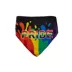 Hip Doggie Pride Reversible Pet Bandana image thumbnail 1