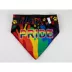 Hip Doggie Pride Reversible Pet Bandana image thumbnail 3