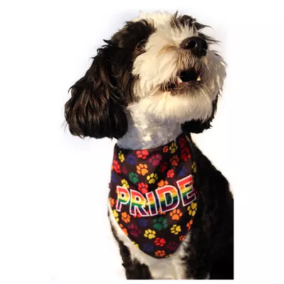 Hip Doggie Pride Reversible Pet Bandana - Image 5