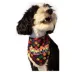 Hip Doggie Pride Reversible Pet Bandana image thumbnail 5