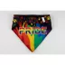 Hip Doggie Pride Reversible Pet Bandana image thumbnail 3
