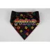 Hip Doggie Pride Reversible Pet Bandana image thumbnail 4