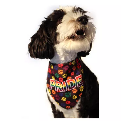 Hip Doggie Pride Reversible Pet Bandana - Image 5