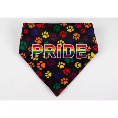 Product Hip Doggie Pride Reversible Pet Bandana