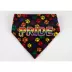 Hip Doggie Pride Reversible Pet Bandana image thumbnail 2