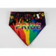 Product Hip Doggie Pride Reversible Pet Bandana