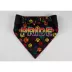 Hip Doggie Pride Reversible Pet Bandana image thumbnail 4