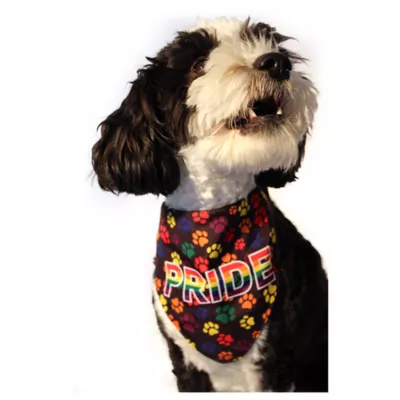 Product Hip Doggie Pride Reversible Pet Bandana