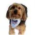 Hip Doggie Pack USA Reversible Pet Bandana image thumbnail 5