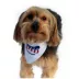 Hip Doggie Pack USA Reversible Pet Bandana image thumbnail 5