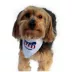 Hip Doggie Pack USA Reversible Pet Bandana image thumbnail 5