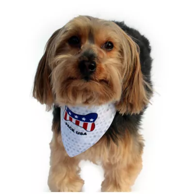 Product Hip Doggie Pack USA Reversible Pet Bandana