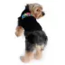 Hip Doggie Party Animal Dog Tank image thumbnail 3