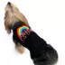 Hip Doggie Pride Love Is Love Dog Tank image thumbnail 3