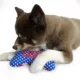 Product Hip Doggie Pack USA Bone Dog Toy