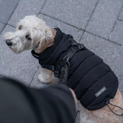 Nypd dog puffer jacket hotsell