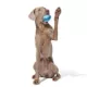 Product Bark Super Chewer Glowball Dog Toy