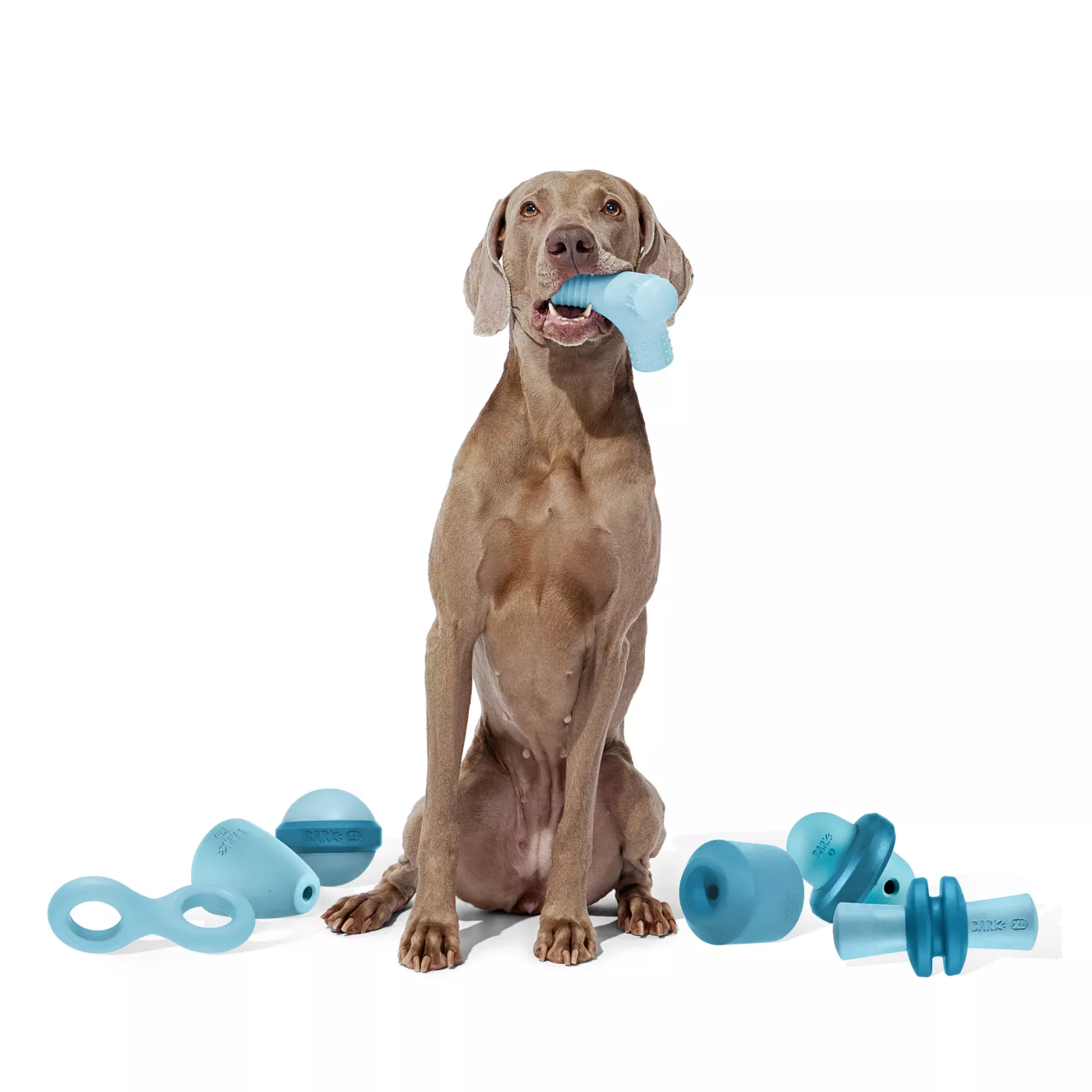 Best dog toys for smart dogs best sale