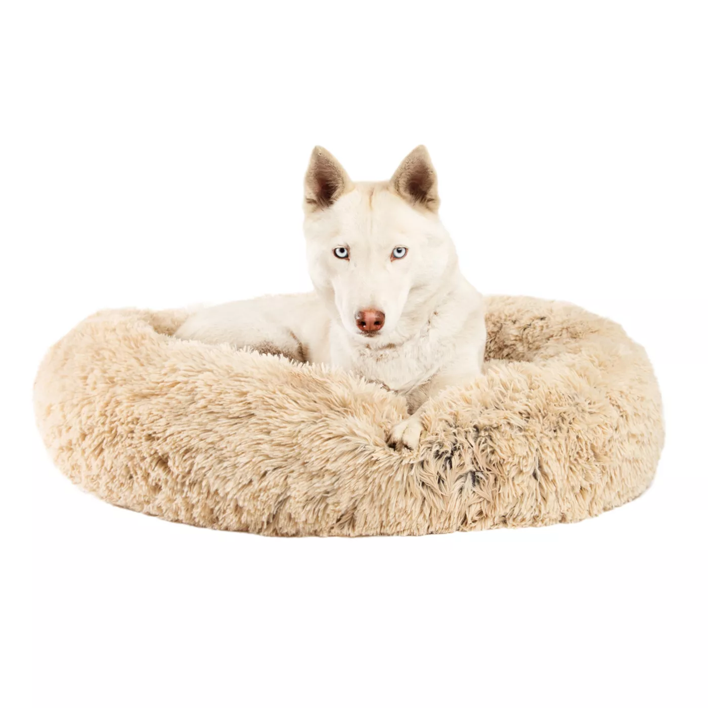 Best fluffy dog bed best sale