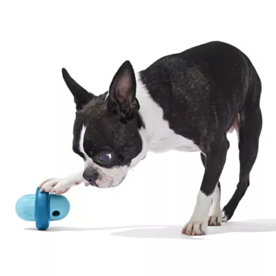 Product Bark Super Chewer Pivot Dog Toy