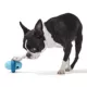 Product Bark Super Chewer Pivot Dog Toy