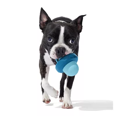 Hyper dog toys best sale