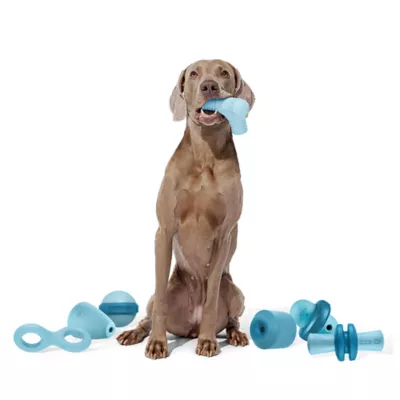 Bark Super Chewer Pivot Dog Toy