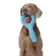 Product Bark Super Chewer Pully Dog Toy