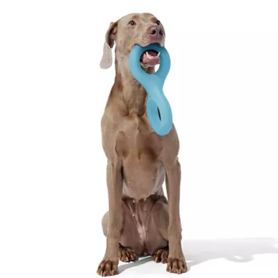 Product Bark Super Chewer Pully Dog Toy