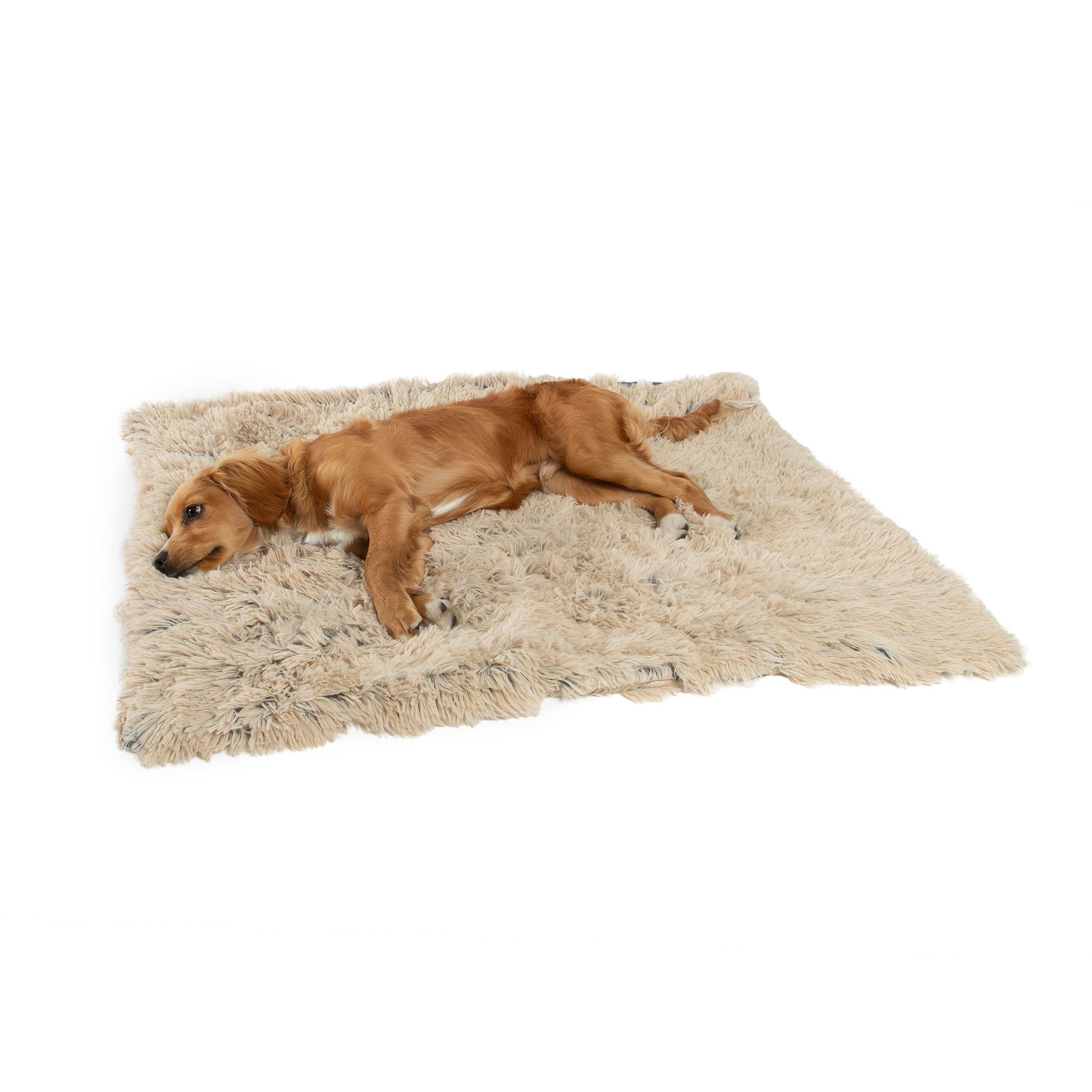 Dog blanket petsmart hotsell