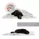 Product Best Friends by Sheri Shag Throw Cat & Dog Blanket