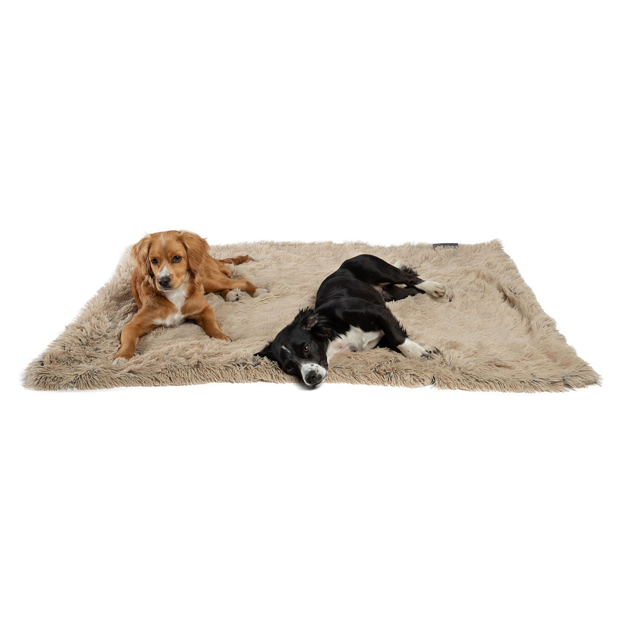 Best friends by sheri throw shag dog & cat blanket hot sale