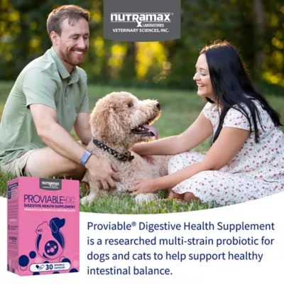 Product Nutramax® Proviable-DC Digestive Supplement for Cats & Dogs