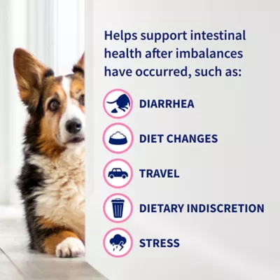 Product Nutramax® Proviable-DC Digestive Supplement for Cats & Dogs