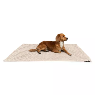 Product Best Friends by Sheri Lux Faux Fur Pet Throw Blanket