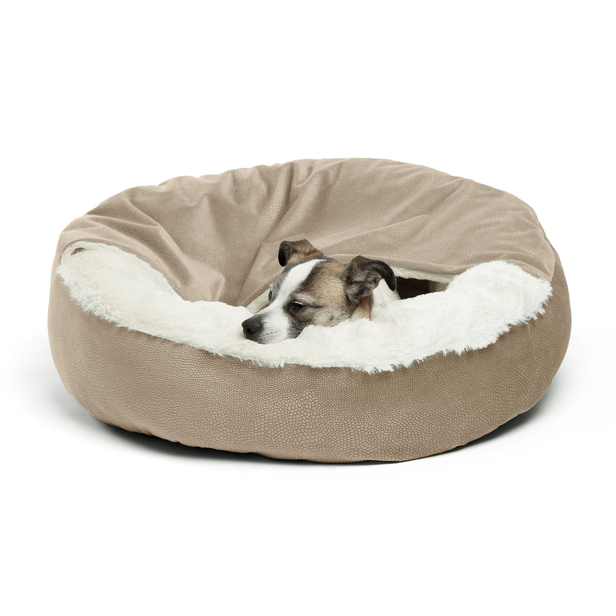 No chew outlet dog bed petsmart